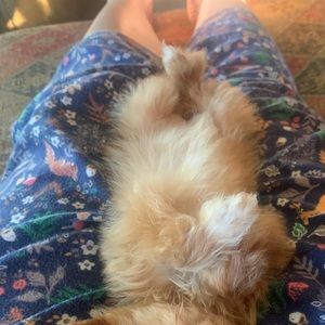 Meet your Posher, Bryn